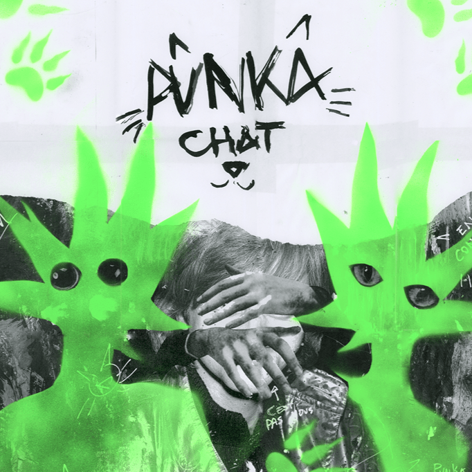 photo du projet punka chat